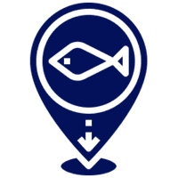 Fish pin with arrow design